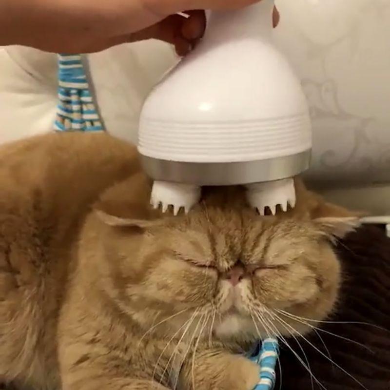 Pet Intelligent Charging Cat Massager